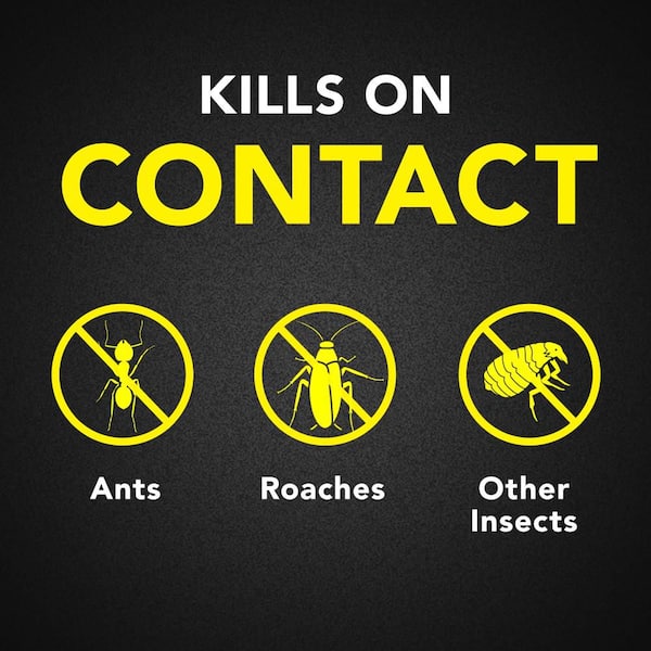 20 oz. Defend Ant and Roach Killer, Indoor Insecticide, Residual Killing Power, Outdoor Fresh Scent, 2-Ct Insect Killer