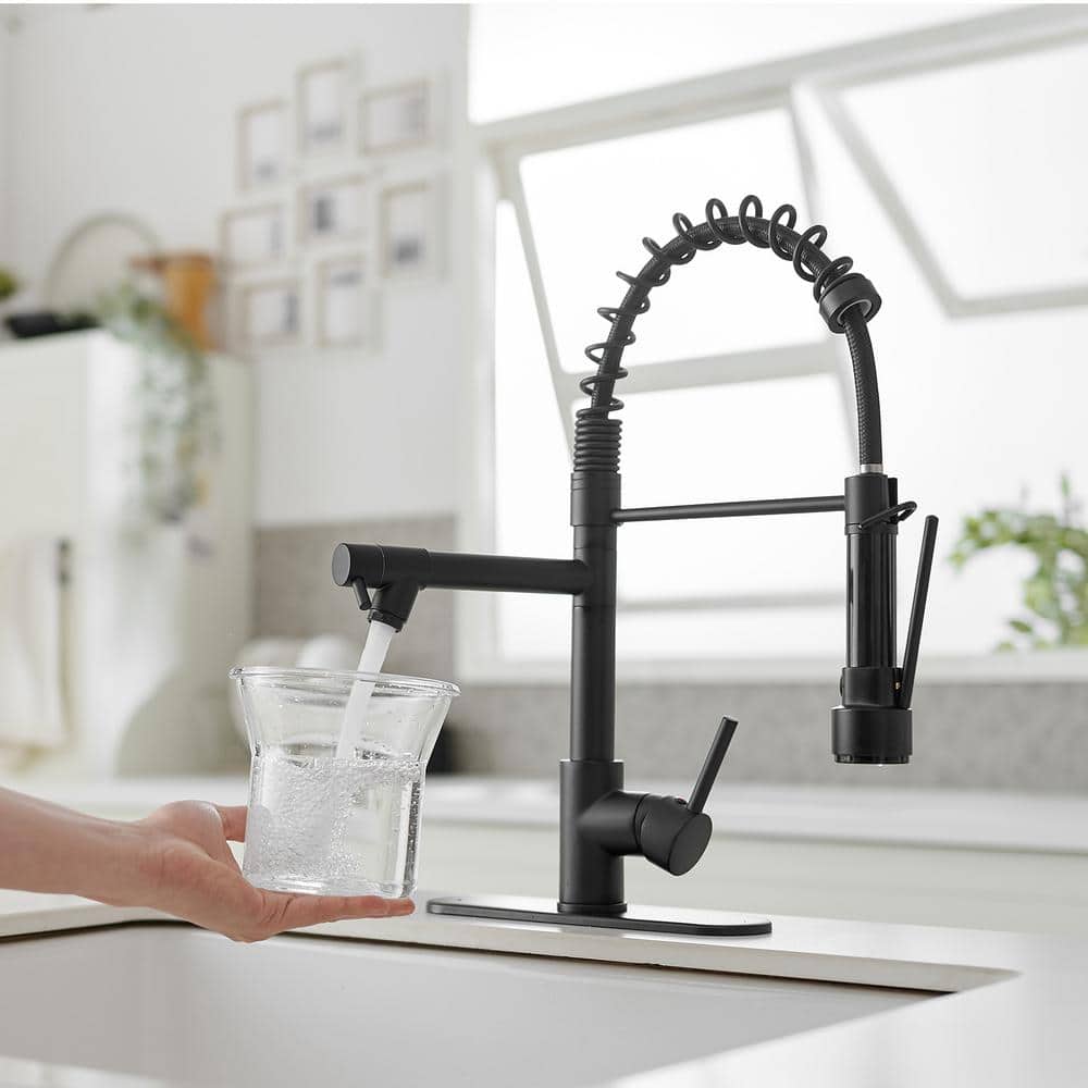 Matte Black High-Arc Kitchen Faucet with Pull-Out Spray