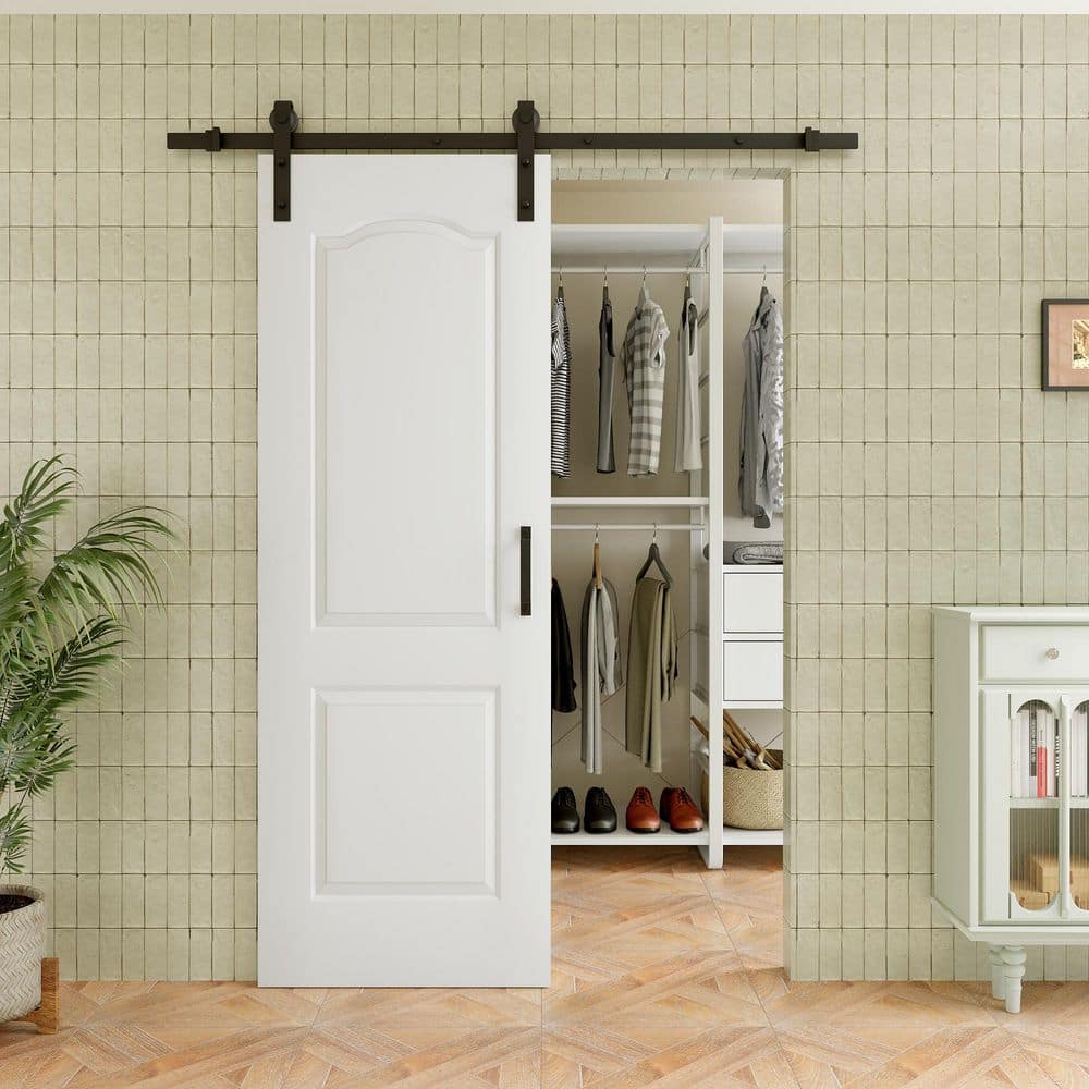 Best HD Pictures about  2 Panel Barn Doors  with No AI Images