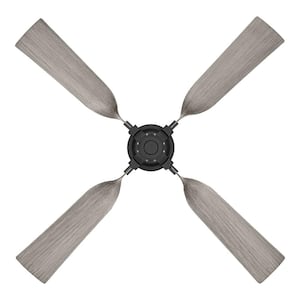 Fortra 56 in. Matte Black Indoor Ceiling Fan with Remote Control