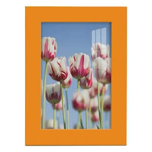 Modern 5 in. x 7 in. Orange Picture Frame