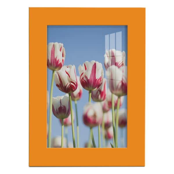 Wexford Home Modern 5 in. x 7 in. Orange Picture Frame