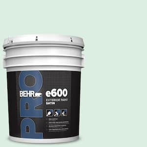 5 gal. #M420-1 Sparkling Brook Satin Exterior Paint