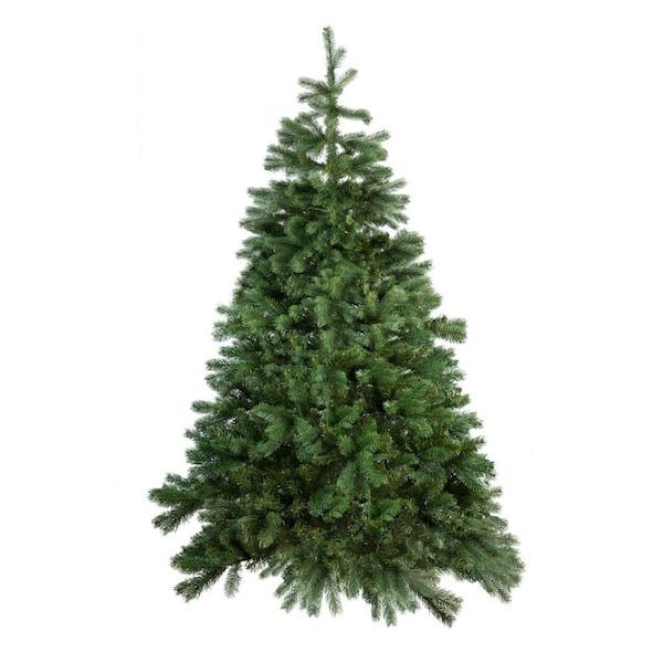 6-7 ft. Freshly Cut Grand Fir Live Christmas Tree (Real, Natural, Oregon-Grown) Highly Fragrant, Dense Upright Foliage