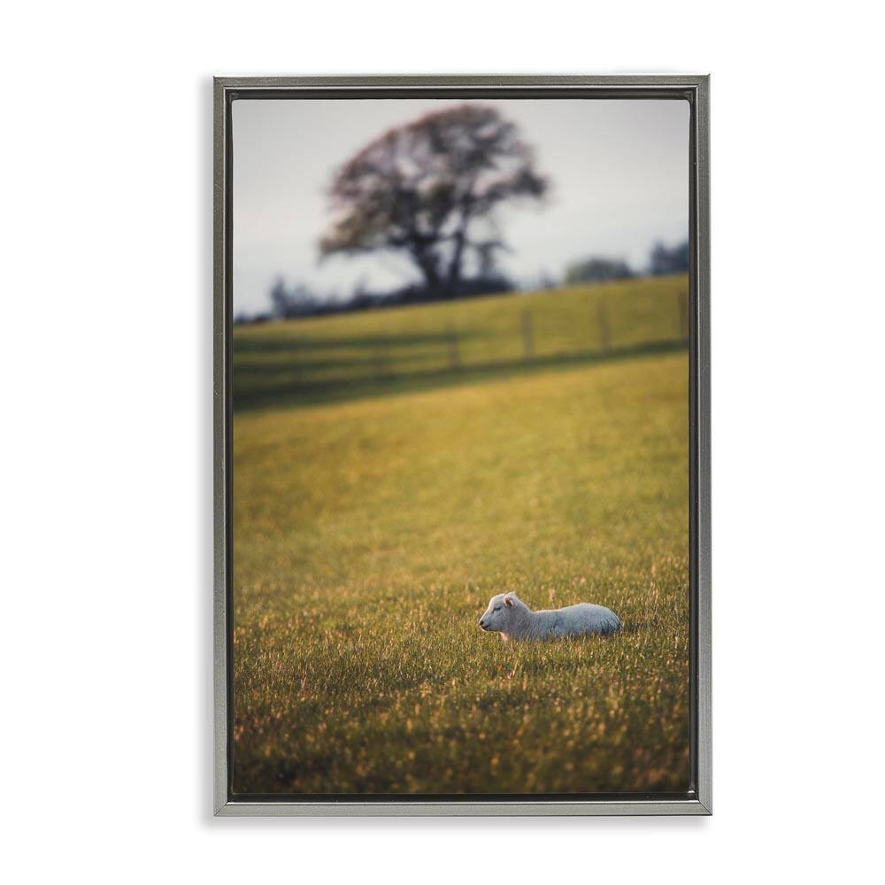 Lamb in Lush Farmland by Thomas Tepstad Berge Gray Floater Frame Nature Graphic Art Print 31 in. x 21 in. price history on PriceWatchPro