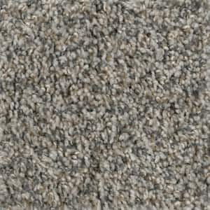 8 in. x 8 in. Texture Carpet Sample - Prancer -Color Woodland