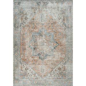 Armae Distressed Medallion Chenille Machine-Washable Terra/Blue 4 ft. x 6 ft. Area Rug