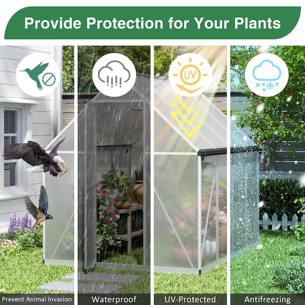 JAXPETY 6 ft. W x 8 ft. D Polycarbonate Greenhouse For Outdoors