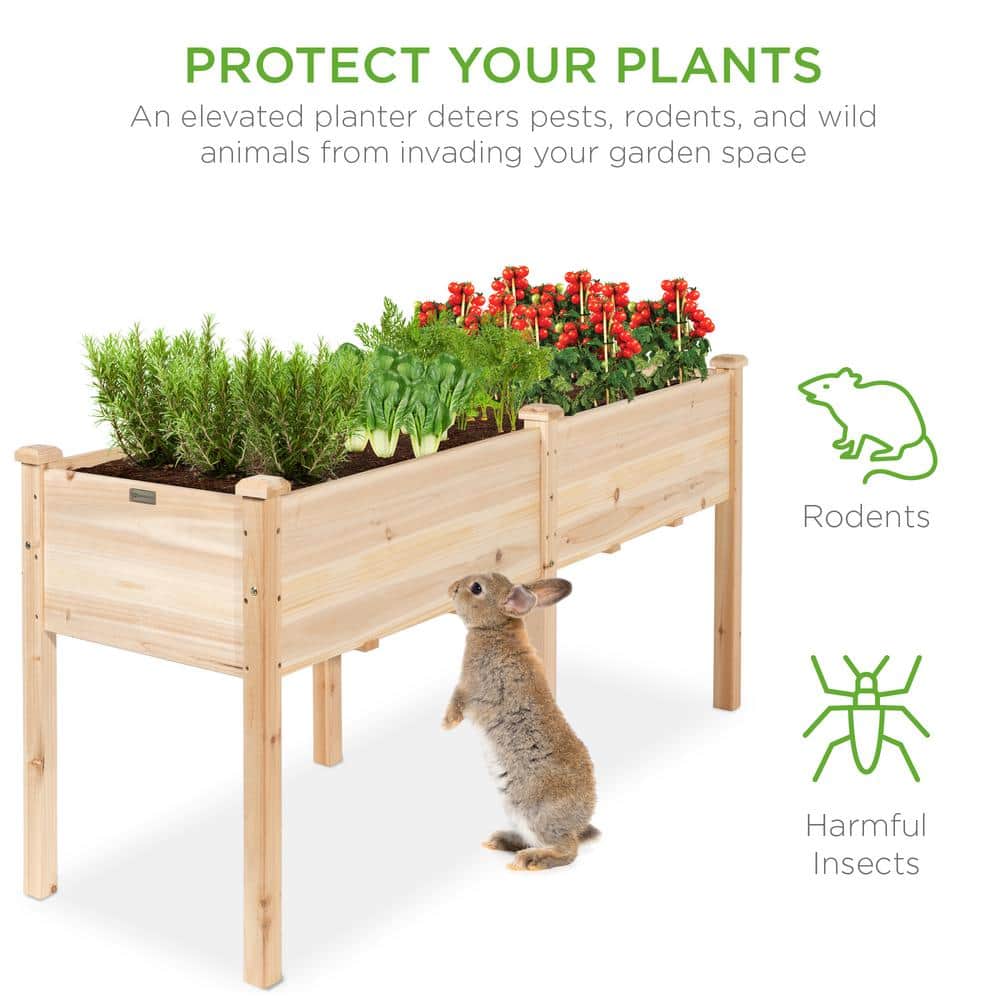 Natural Fir Wood 72" Elevated Garden Planter Box with Divider