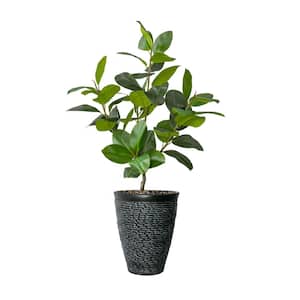 Real touch 64 in. fake Rubber tree in a fiberstone planter