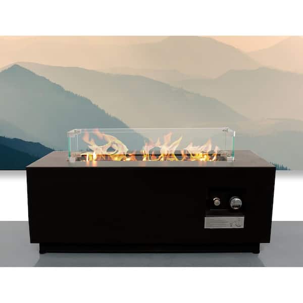 Unbranded 16 in. H x 42 in. W Steel Outdoor Propane/Natural Gas Fire Pit Table with Cover, Stainless Steel Burning Zone