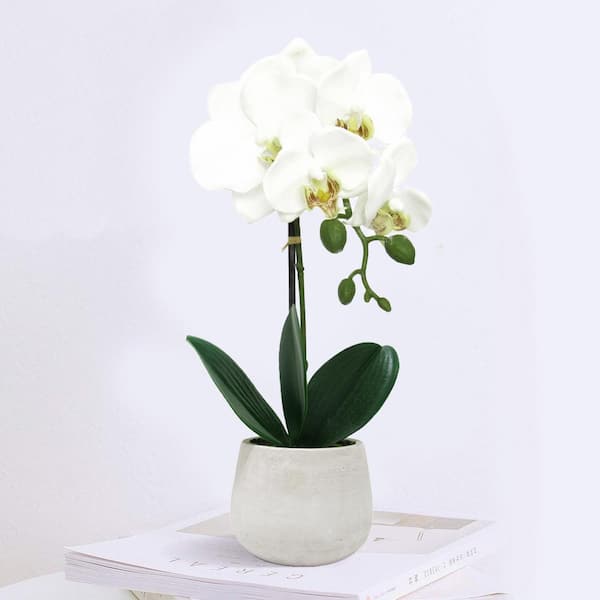 LIVING LUXURY 15 in. White Artificial Phalaenopsis Orchid Flower Arrangement in Clay Pot