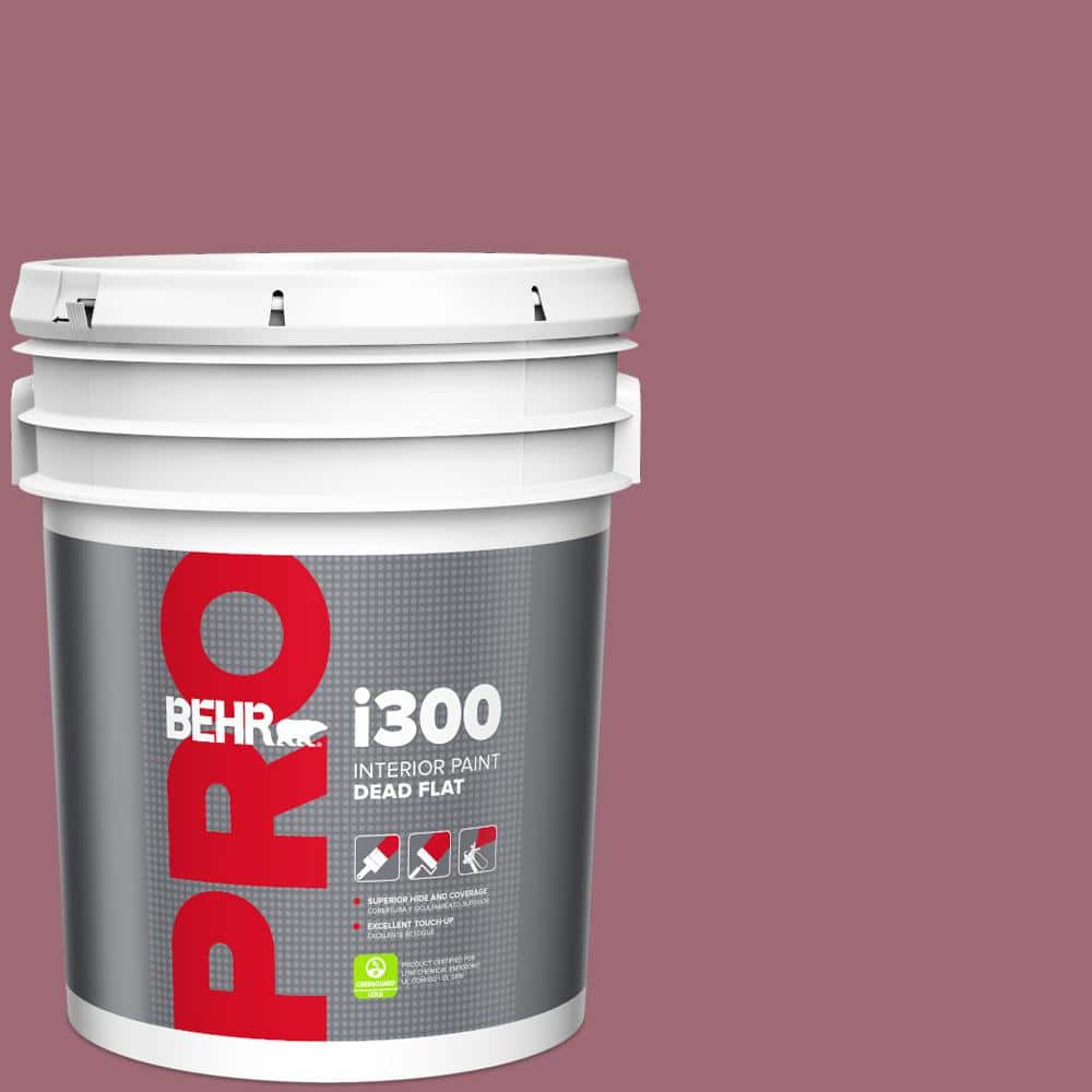 5 gal. #100D-5 Berries and Cream Dead Flat Interior Paint price history on PriceWatchPro