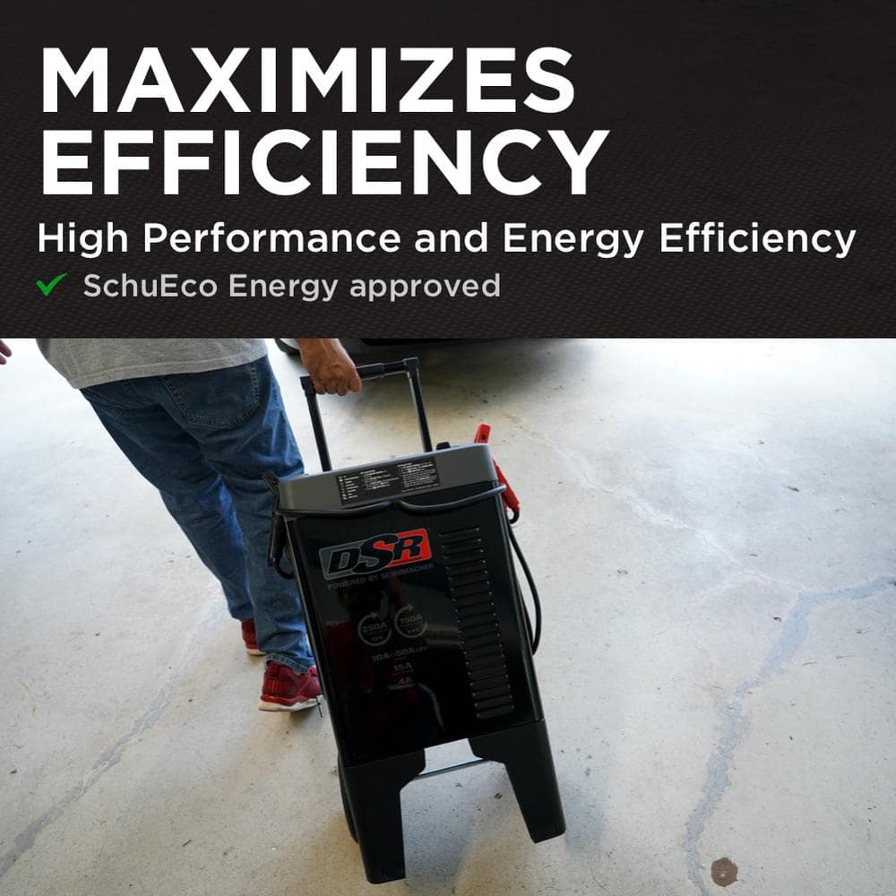 Heavy-Duty Dual-Voltage 12/24V Battery Charger with Boost Mode