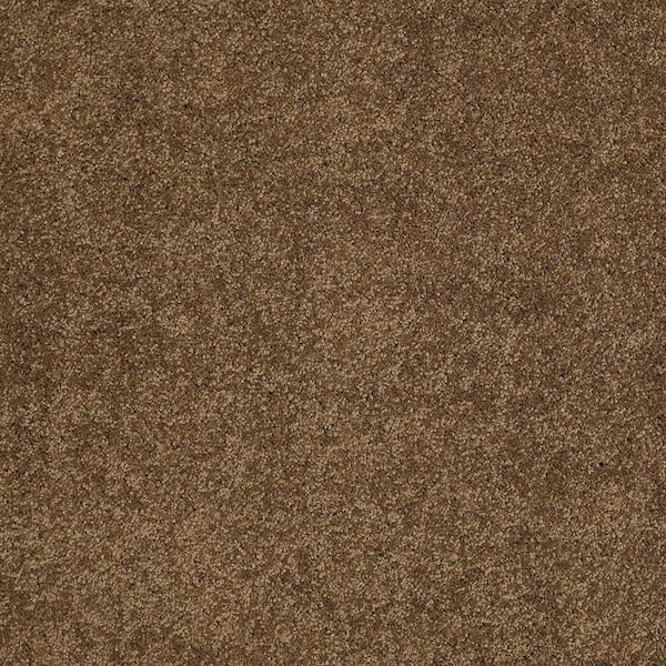 Lifeproof Coral Reef II - Prairie - Brown 93.6 oz. Nylon Texture Installed Carpet