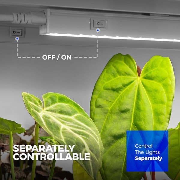 5000K Full Spectrum Grow Lights for Plants, 1ft. LED Growing Lamp and Light Strip for Seed Starting, White (4-Pack)
