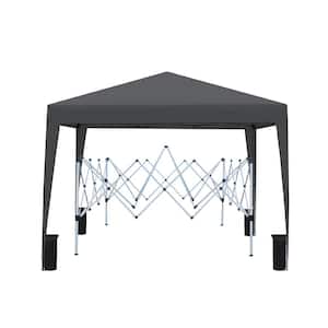 10 ft. x 10 ft. Outdoor Pop Up Gazebo Canopy Tent with 2 Removable Sidewall and Zipper, 4pcs Weight sand bag, Carry Bag
