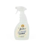 All-Purpose Cleaner