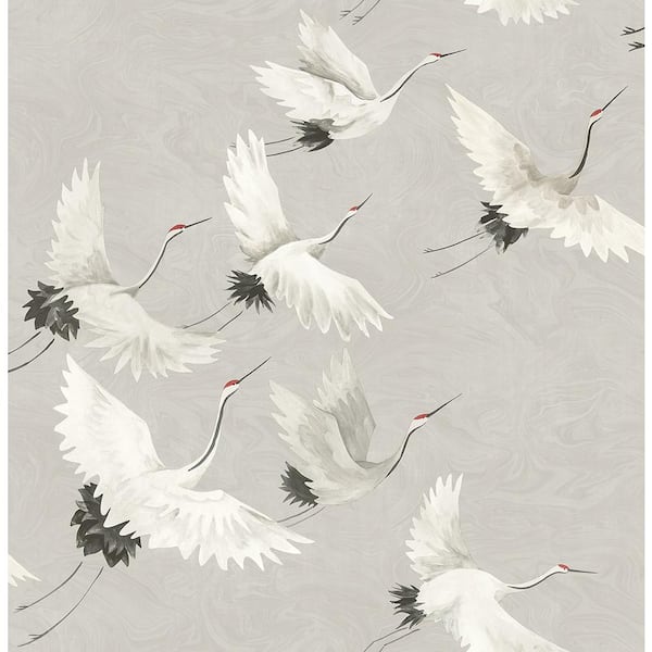 A-Street Prints 8 in. x 10 in. Windsong Grey Crane Wallpaper Sample ...