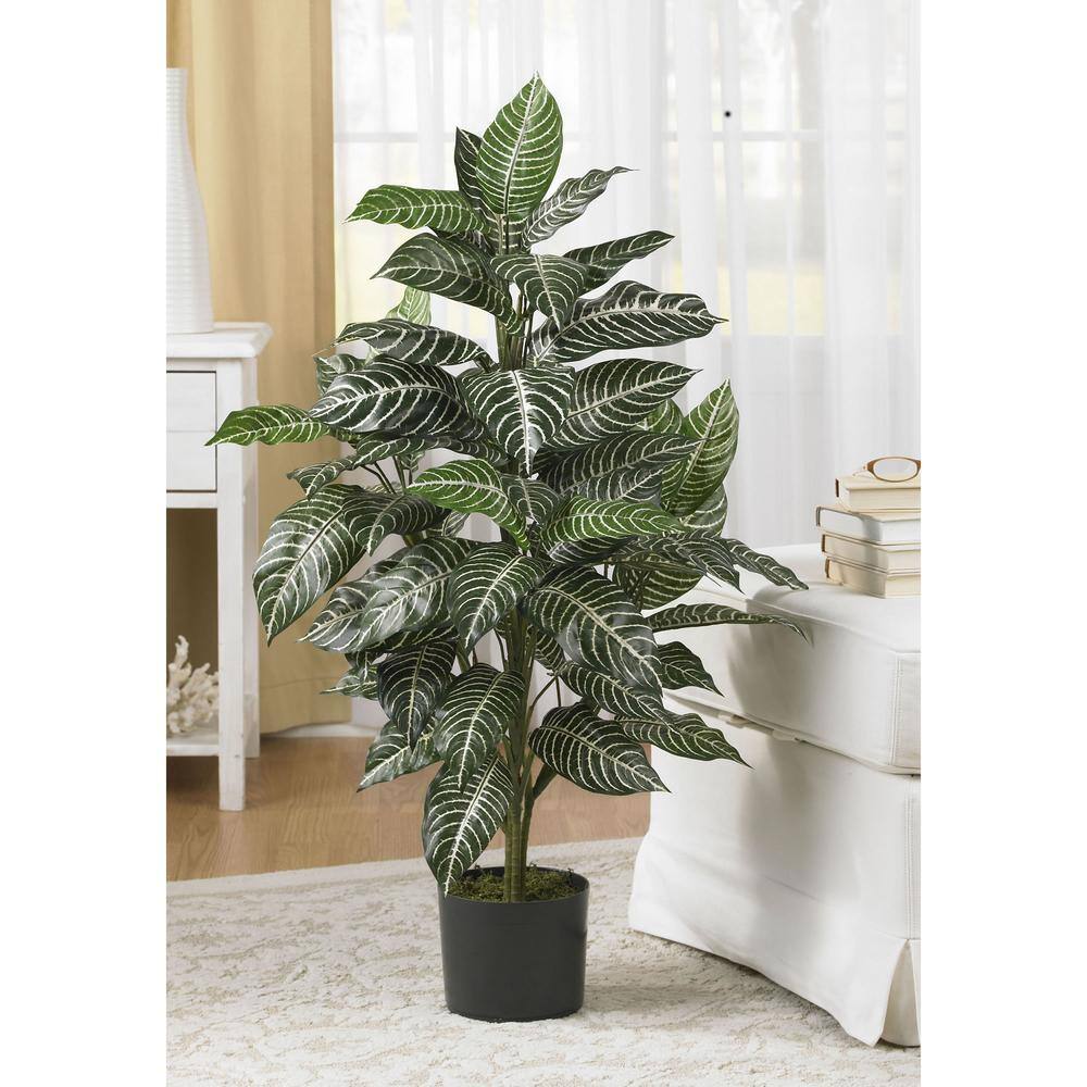 42" Green Silk Zebra Plant in Wicker Pot