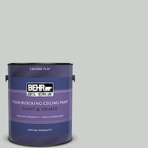 1 gal. #N460-2 Planetary Silver Ceiling Flat Interior Paint with Primer