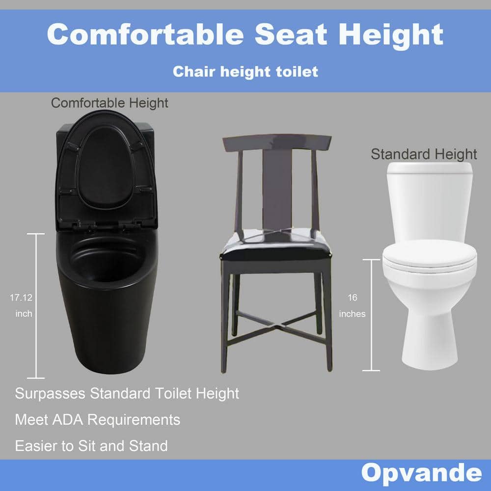 Matte Black Ceramic Dual Flush Elongated One-Piece Toilet