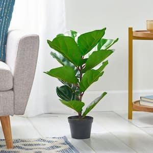 Sherard 2 ft. Green Artificial Fiddle-Leaf Fig Tree