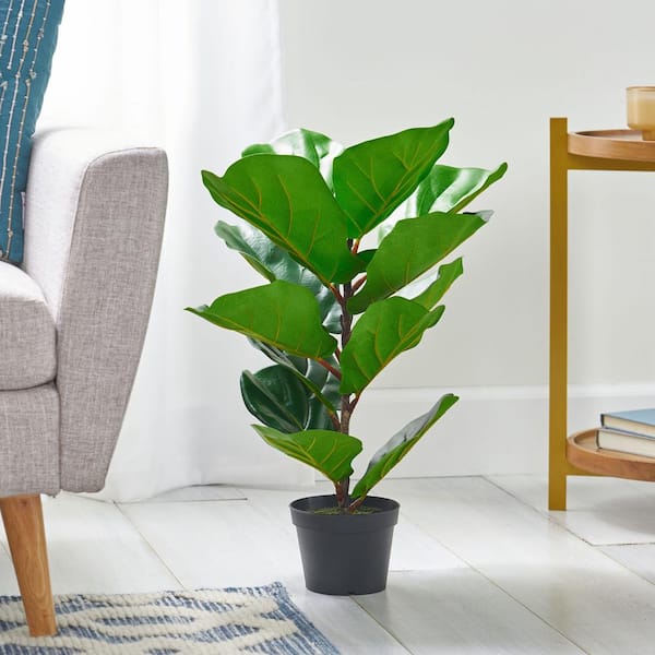 Noble House Sherard 2 ft. Green Artificial Fiddle-Leaf Fig Tree