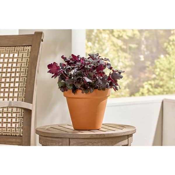 Small Clay Terracotta Planter with Drainage Hole (8 in. L x 8 in. W x 7 in. H)