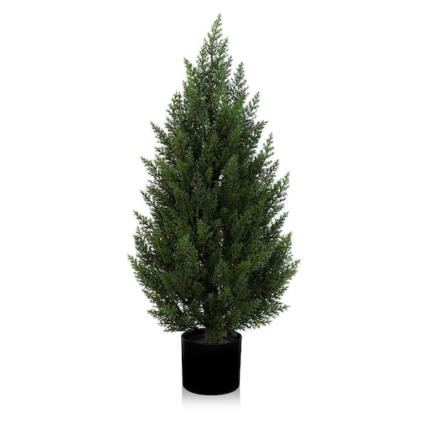 BELL NURSERY 7 Gal. Cutleaf Japanese Maple Acer Plant 201400 - The