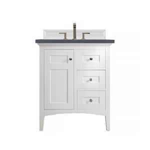 Palisades 30 in. W  x 23.5 in.D x 35.3 in. H Single Vanity in Bright White with Quartz Top in Charcoal Soapstone