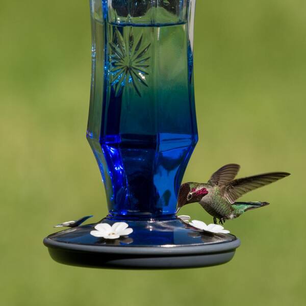 16 Oz Perky-Pet 8129-2 Sapphire Starburst Vintage Glass Hummingbird Feeder