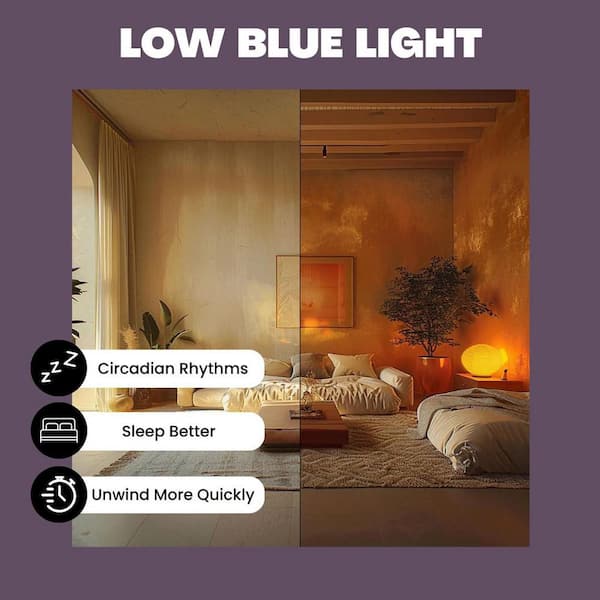 NorbEVERYDAY-SLEEP 6W Equivalence Low-Blue Sleep-Enhancing A19 2000K LED Light Bulb (2-Pack)