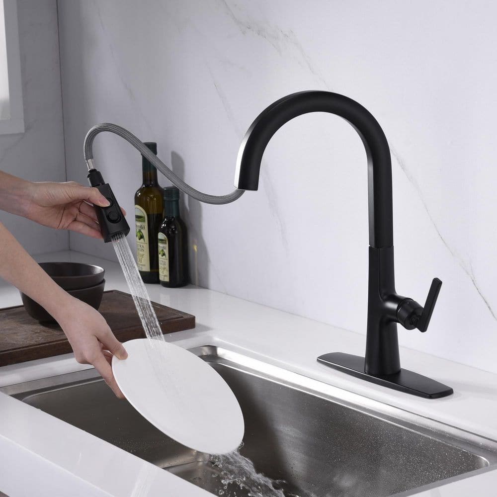 Matte Black Brass Single-Handle Pull-Down Kitchen Faucet