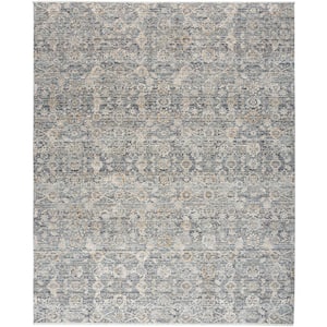 Nyle Charcoal 8 ft. x 10 ft. Distressed Transitional Area Rug
