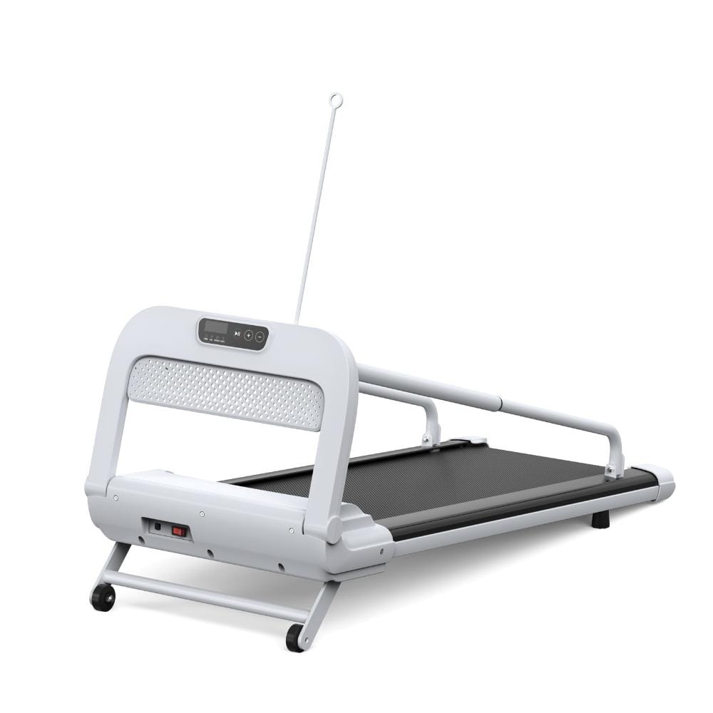 2025 New Smart Pet Treadmill, Adjustable Speed for Small & Medium Dogs price history on PriceWatchPro