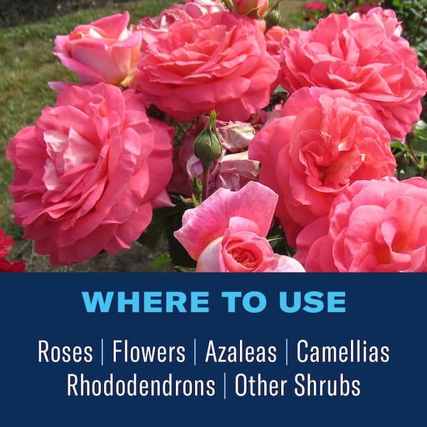 All-In-One Rose Flower Care - 4 Lb.
