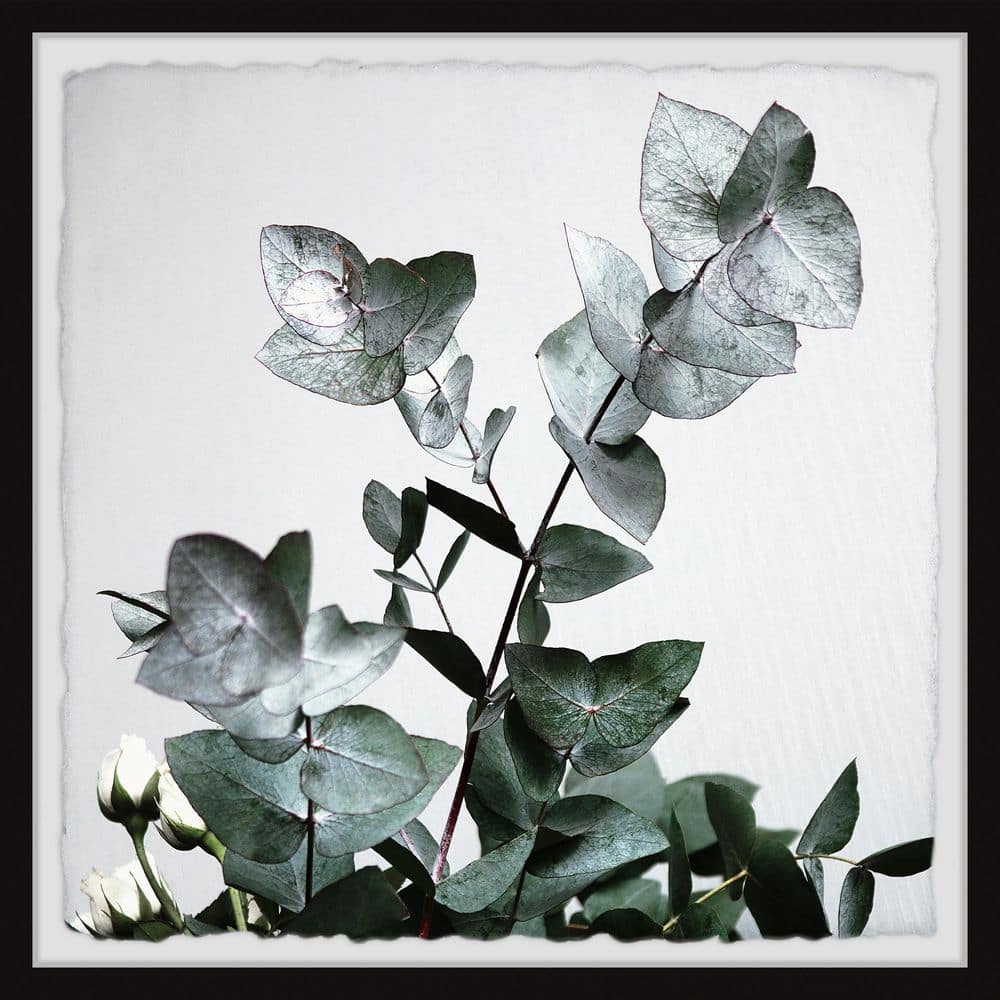 Green Shiny Leaves by Marmont Hill Framed Nature Art Print 24 in. x 24 in.