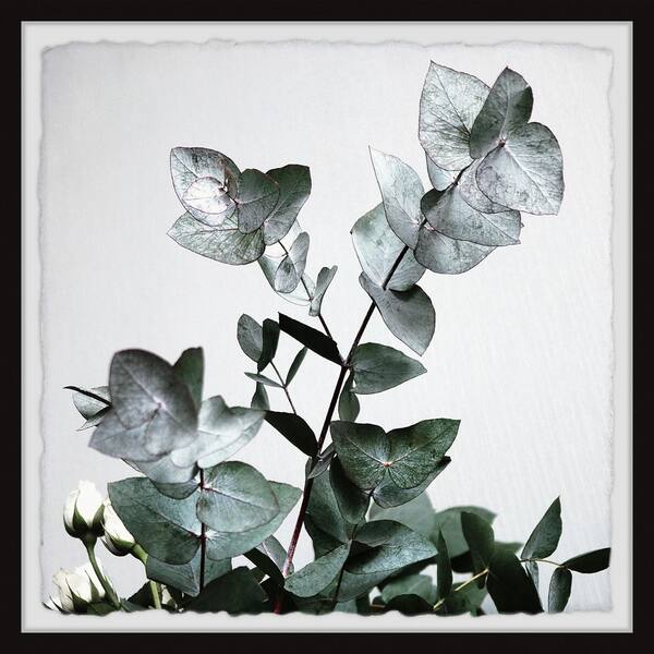 Unbranded "Green Shiny Leaves" by Marmont Hill Framed Nature Art Print 24 in. x 24 in.