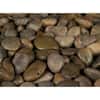 MSI Imperial Beach 0.5 cu. ft. Per Bag 1 in. to 2 in. Bagged Landscape Rock LPEBMIMP5POL40 The Home Depot