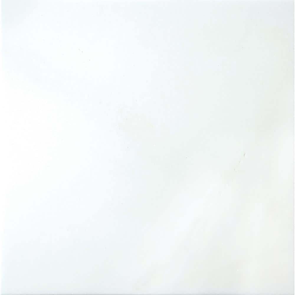 Marble Thassos White Polished 12.01 in. x 12.01 in. Marble Floor and Wall Tile (1 sq. ft.) -  EMSER TILE, 825694