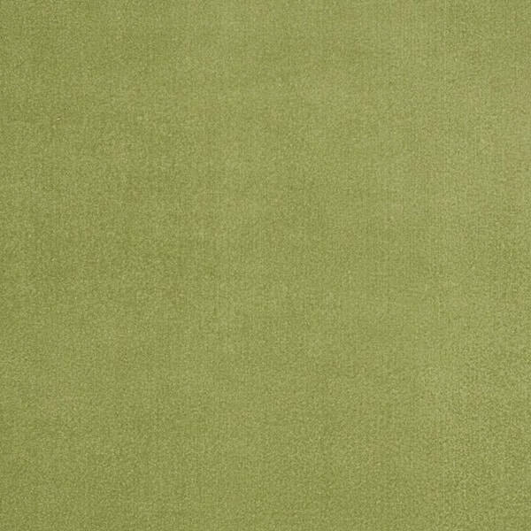 Green 8 ft. x 10 ft. Woven Polypropylene Indoor/Outdoor Area Rug