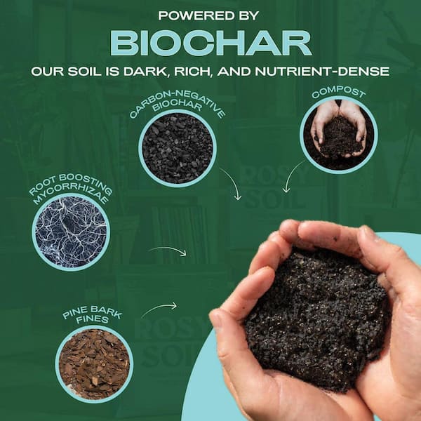 ROSY SOIL Organic 4 qt. Living Soil Houseplant Potting Mix for