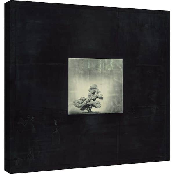 PTM Images 15 in. x 15 in. ''Bonsai Cave Tree'' Printed Canvas Wall Art