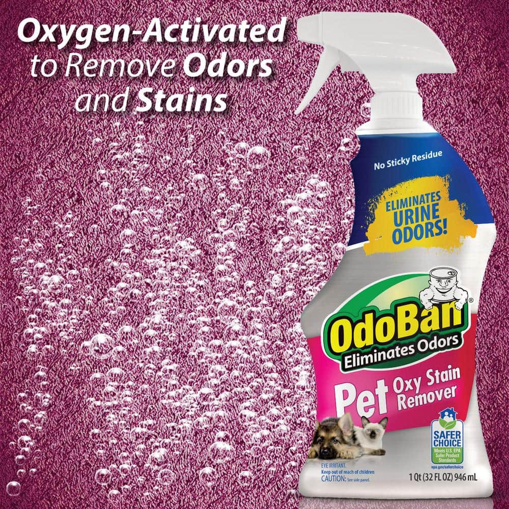 Oxy Stain Remover Spray for Pet Stains, 32 oz
