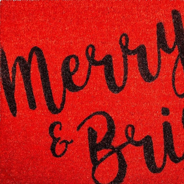 Multi-Colored 29 in. x 17 in. Coir Non-Slip Indoor / Outdoor Door Mat