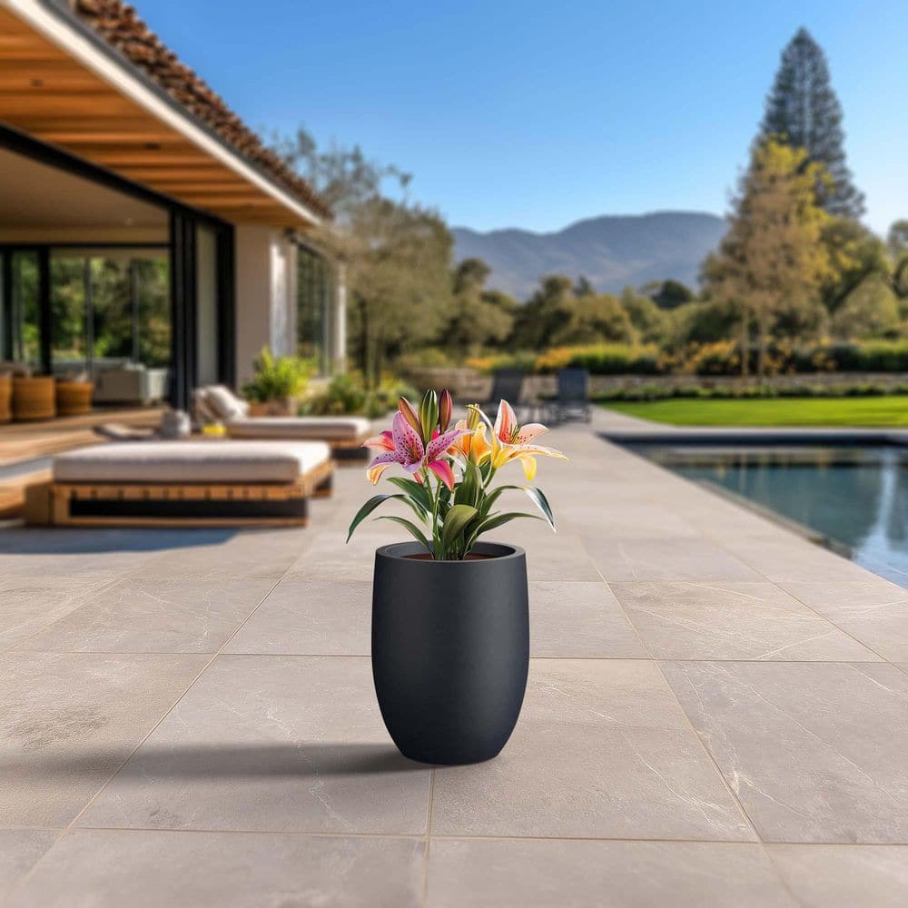13 in. Large Granite Gray (Enhanced Interior) Concrete Round Planter / Pot with Drainage Holes price history on PriceWatchPro