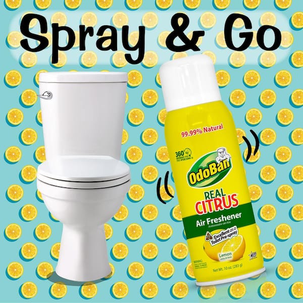 OdoBan 10 oz. Lemon Real Citrus Air Freshener Spray, Citrus Oil Natural Air  Freshener, Room Deodorizer & Toilet Spray (6 Pack) 9793C70-10A6 - The Home  Depot