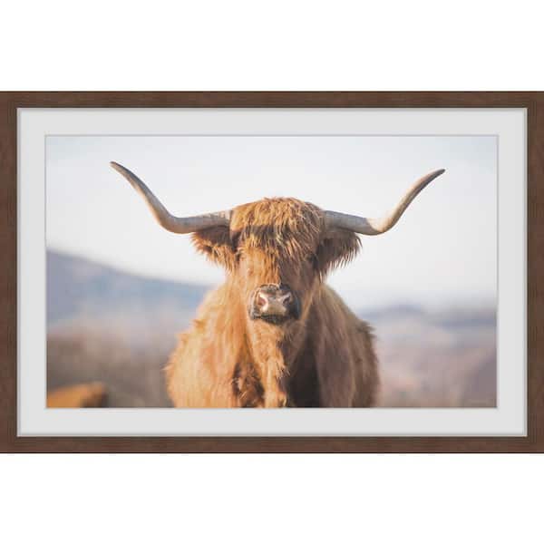 Highland Cow by Marmont Hill Framed Animal Art Print 12 in. x 18 in.  EXOANI-60DWFP18 - The Home Depot