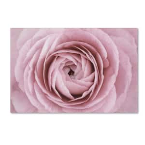 12 in. x 19 in. "Persian Buttercup" by Cora Niele Printed Canvas Wall Art
